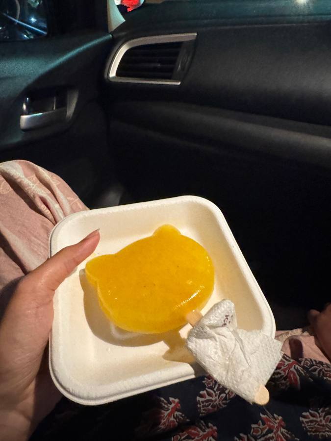 Another cat-shaped pineapple sorbet in the car