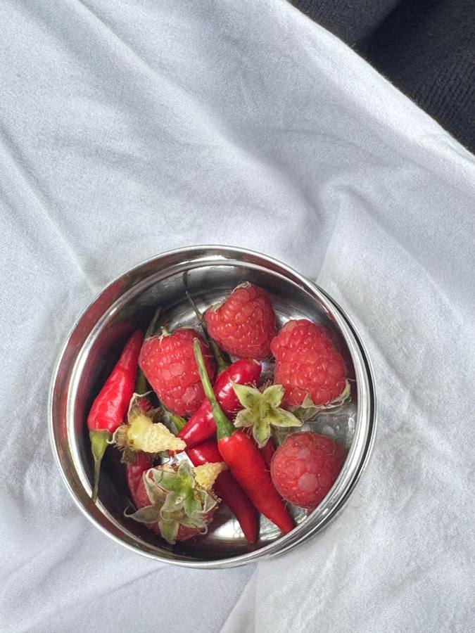 Steel bowl of raspberries and red chillies