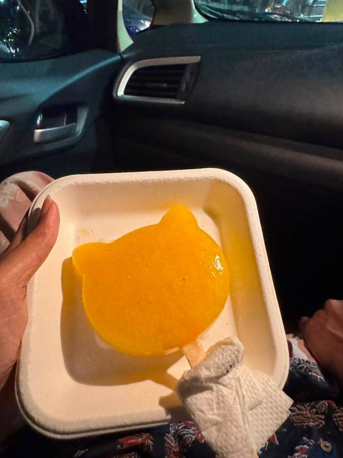 Cat-shaped orange sorbet on a stick